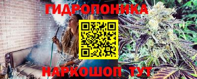 spice Бузулук